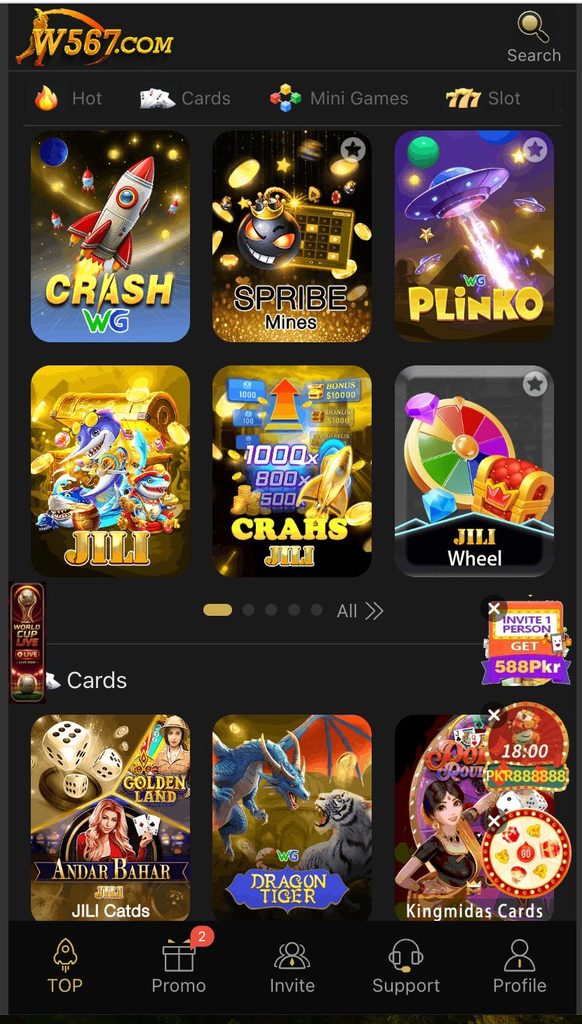 W567 game